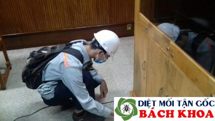 diệt mối tại cầu giấy