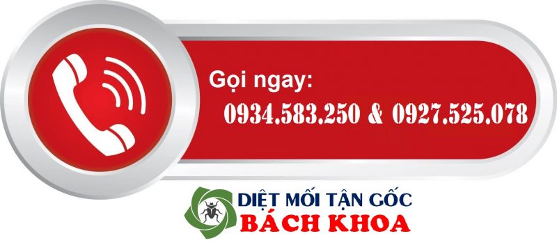 liên hệ ngay công ty diệt mối tận gốc