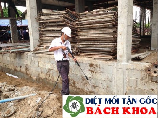 phòng mối công trình