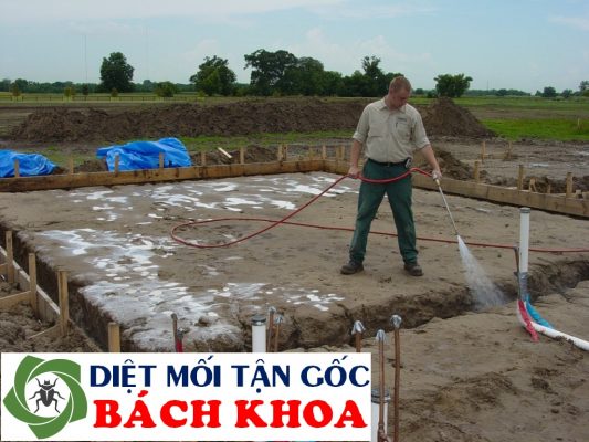 thi công phòng mối