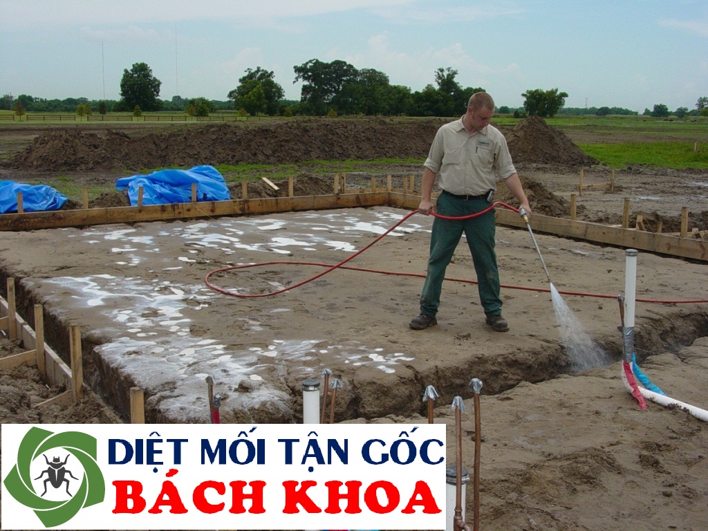 thi công phòng mối