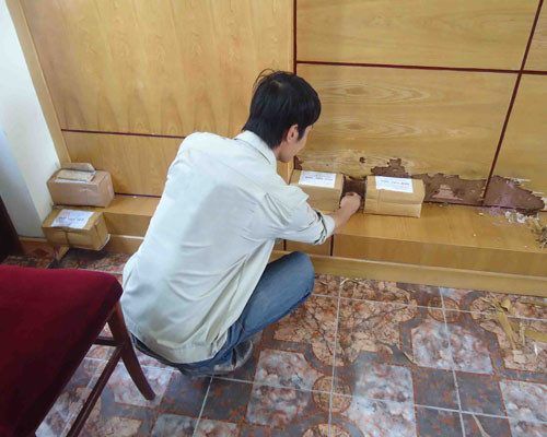 diệt mối tận gốc