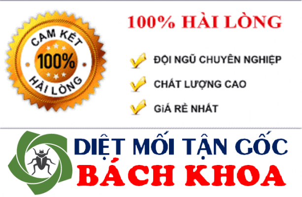 báo giá diệt mối