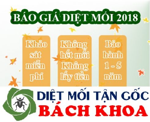 bảng báo giá dịch vụ diệt mối giá rẻ tại nhà