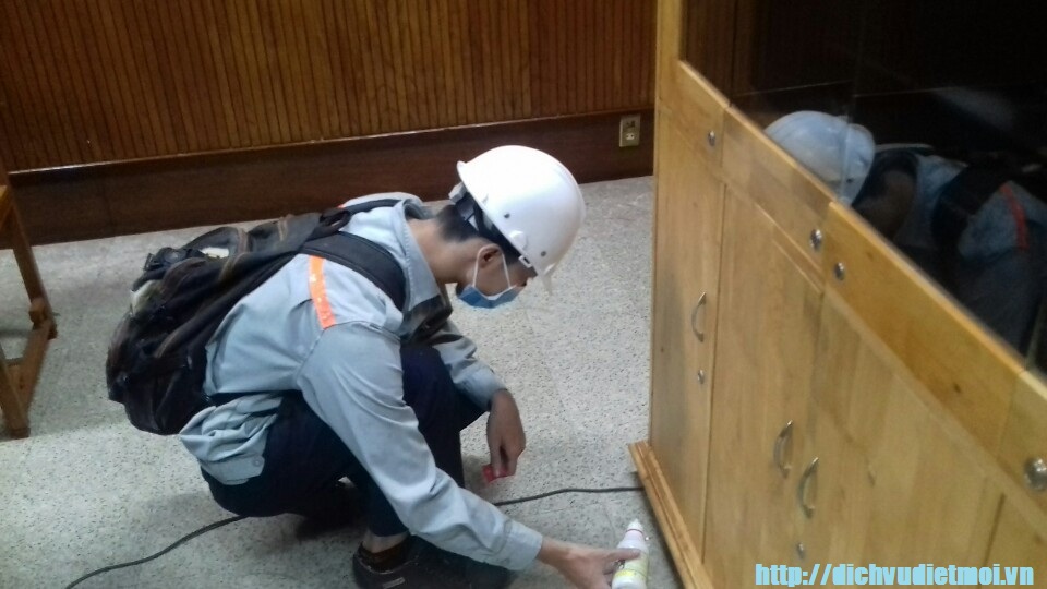 Diệt mối tại cầu giấy