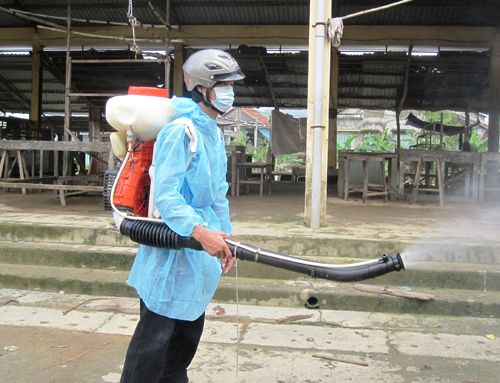 diệt mối tại thanh hóa