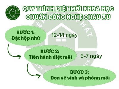 quy trình báo giá diệt mối