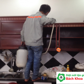 làm thế nào để diệt mối tận gốc