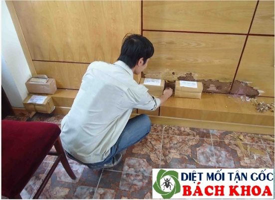 Cách diệt mối đặt hộp nhử mối