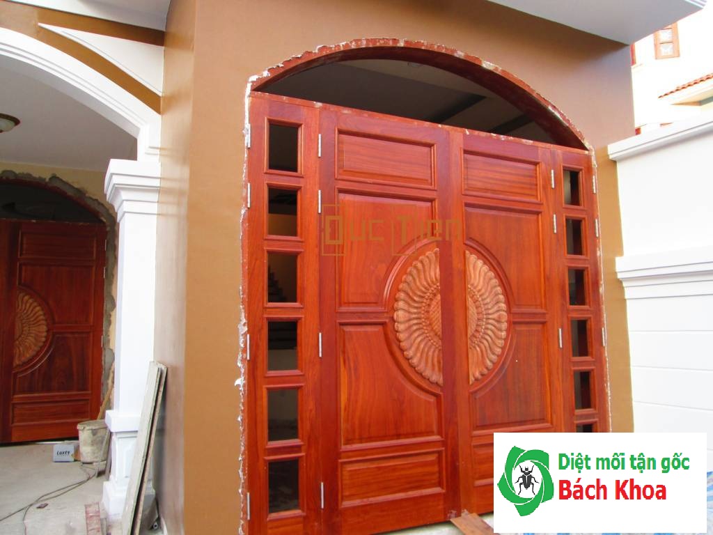 diệt mối tận gốc tại Hải Phòng