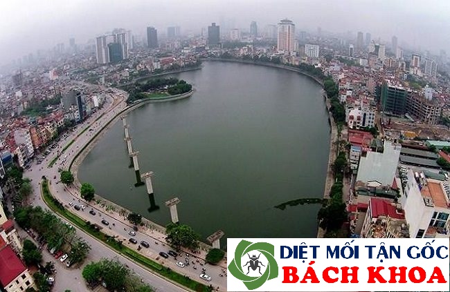 diệt mối tại quận đống đa