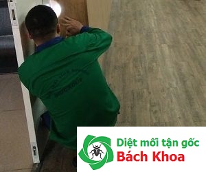 diệt mối tại bắc giang