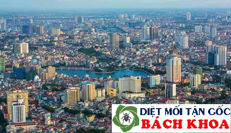 Diệt mối tại quận hai ba