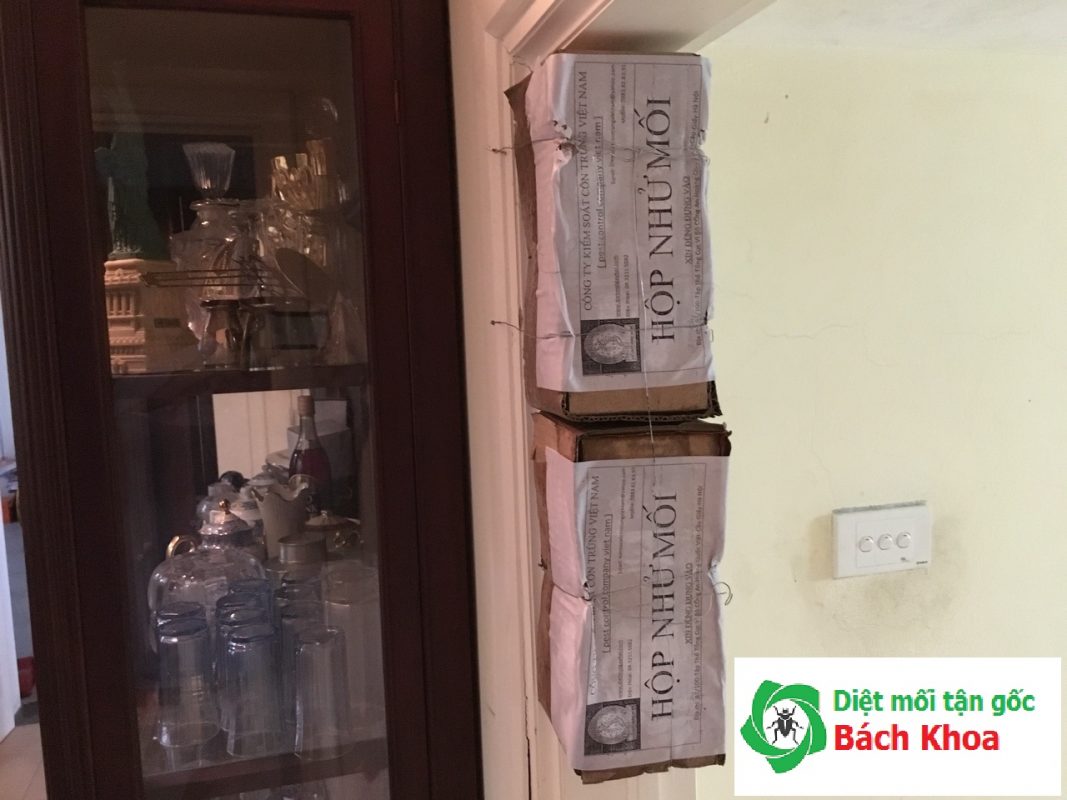 Diệt mối giá bao nhiêu