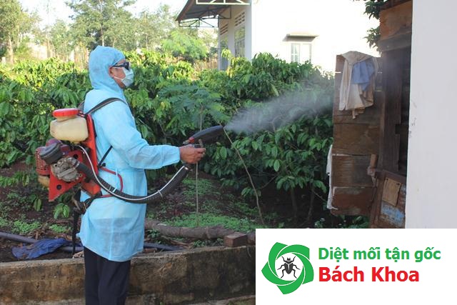 Phun thuốc diệt muỗi tại nhà khu vực Hà Đông