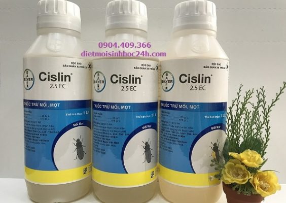 Thuốc xịt diệt mối mọt Cislin 2.5 EC 
