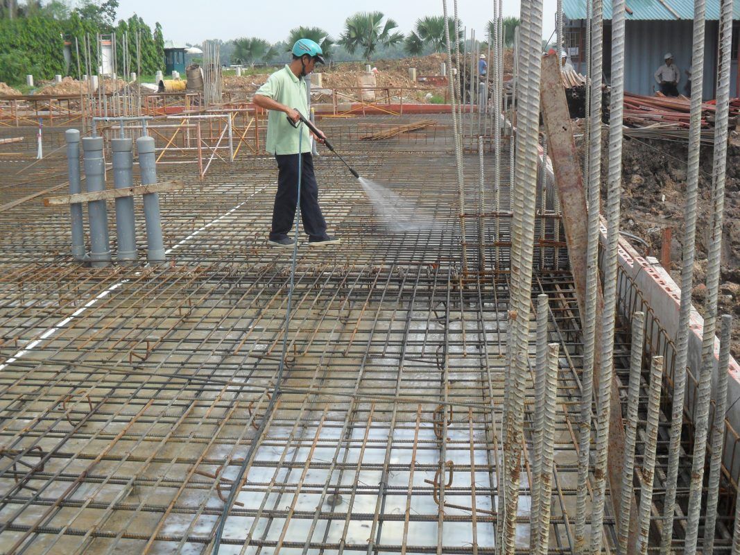 Diệt mối tận gốc tại Hải Phòng